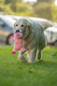 Petface Flat Crinkle Pig & Squeak Dog Toy