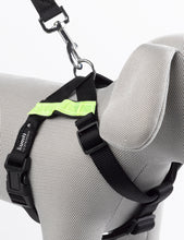 Load image into Gallery viewer, Petface Kumfi Safety Car Dog / Puppy Harness (Various Sizes)